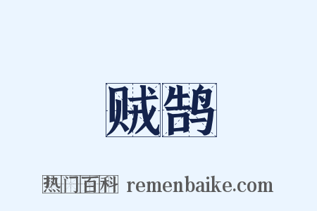 贼鹄是什么意思的图片